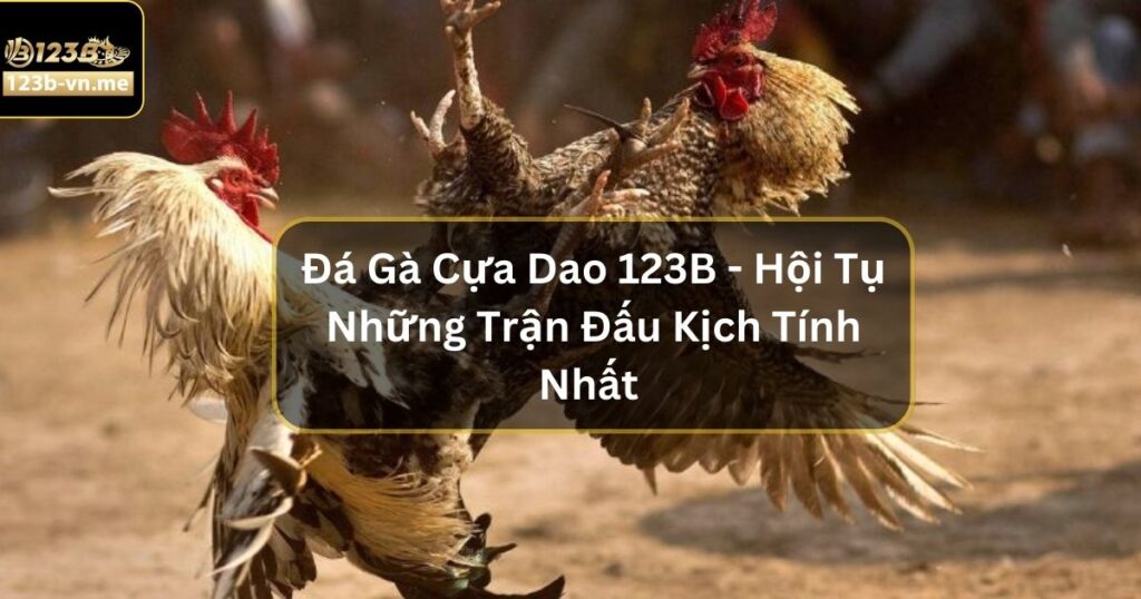 Đá Gà Thomo - Sân Chơi Chọi Gà Hấp Dẫn Nhất Tại 123B 1 Đá Gà Thomo - Sân Chơi Chọi Gà Hấp Dẫn Nhất Tại 123B