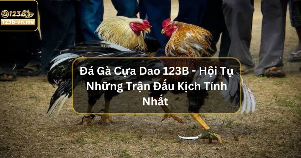 Đá Gà Cựa Dao Tại 123B - Hội Tụ Những Trận Đấu Kịch Tính Nhất 2 Đá Gà Cựa Dao Tại 123B - Hội Tụ Những Trận Đấu Kịch Tính Nhất