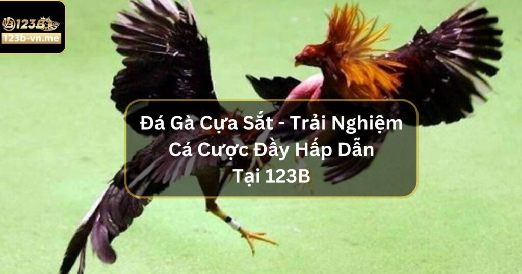 Đá Gà Cựa Sắt - Trải Nghiệm Cá Cược Đầy Hấp Dẫn Tại 123B 3 Đá Gà Cựa Sắt - Trải Nghiệm Cá Cược Đầy Hấp Dẫn Tại 123B